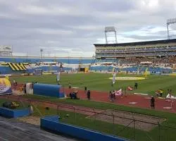 Estadio Olímpico Metropolitano (Wikipedia).