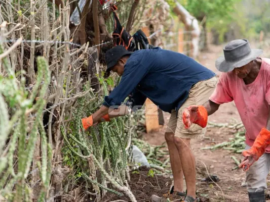 Getsel Montes reparando una cerca en su tierra natal (Diario Diez).