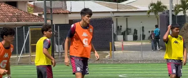 La joya morada alcanza los 2 metros de altura (Estefan Monge).