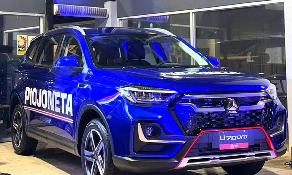 El SUV rotulado como Piojoneta que recibió el DT de la Sele