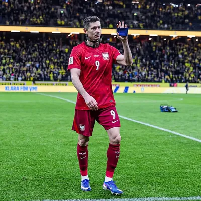 La desgarradora imagen que compartió Lewandowski (Instagram).
