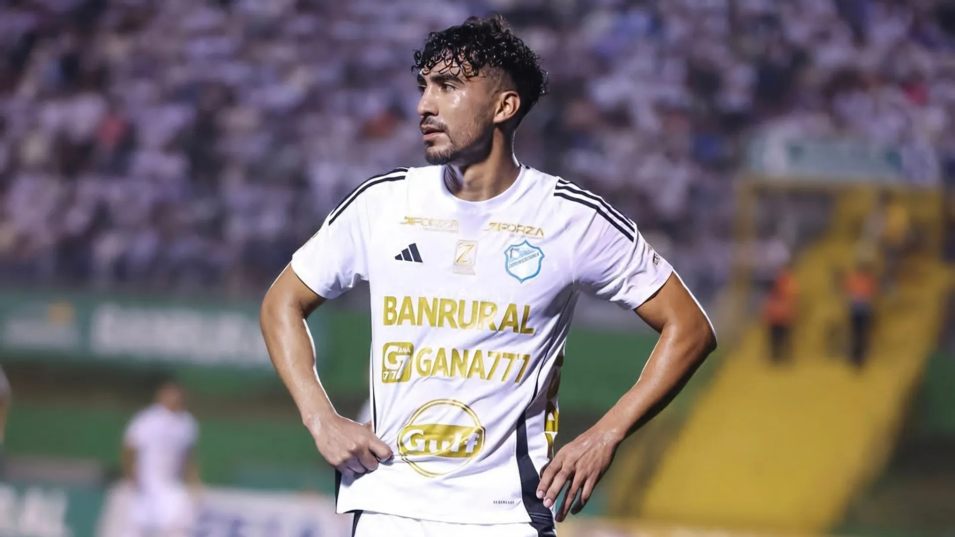 ernesto monreal-comunicaciones