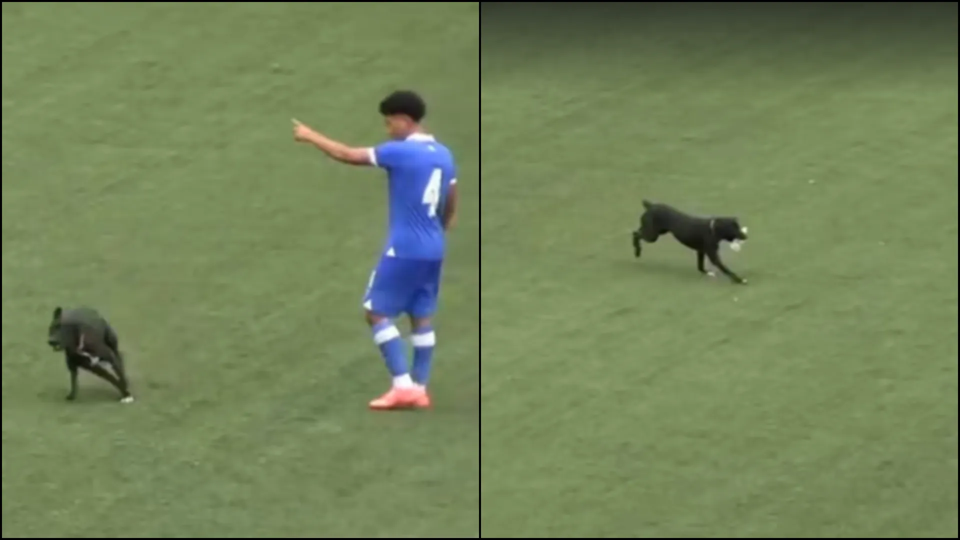 Momento insólito: Un protagonista inesperado se robó el show en el partido de Guatemala vs El Salvador de los Juegos Centroamericanos