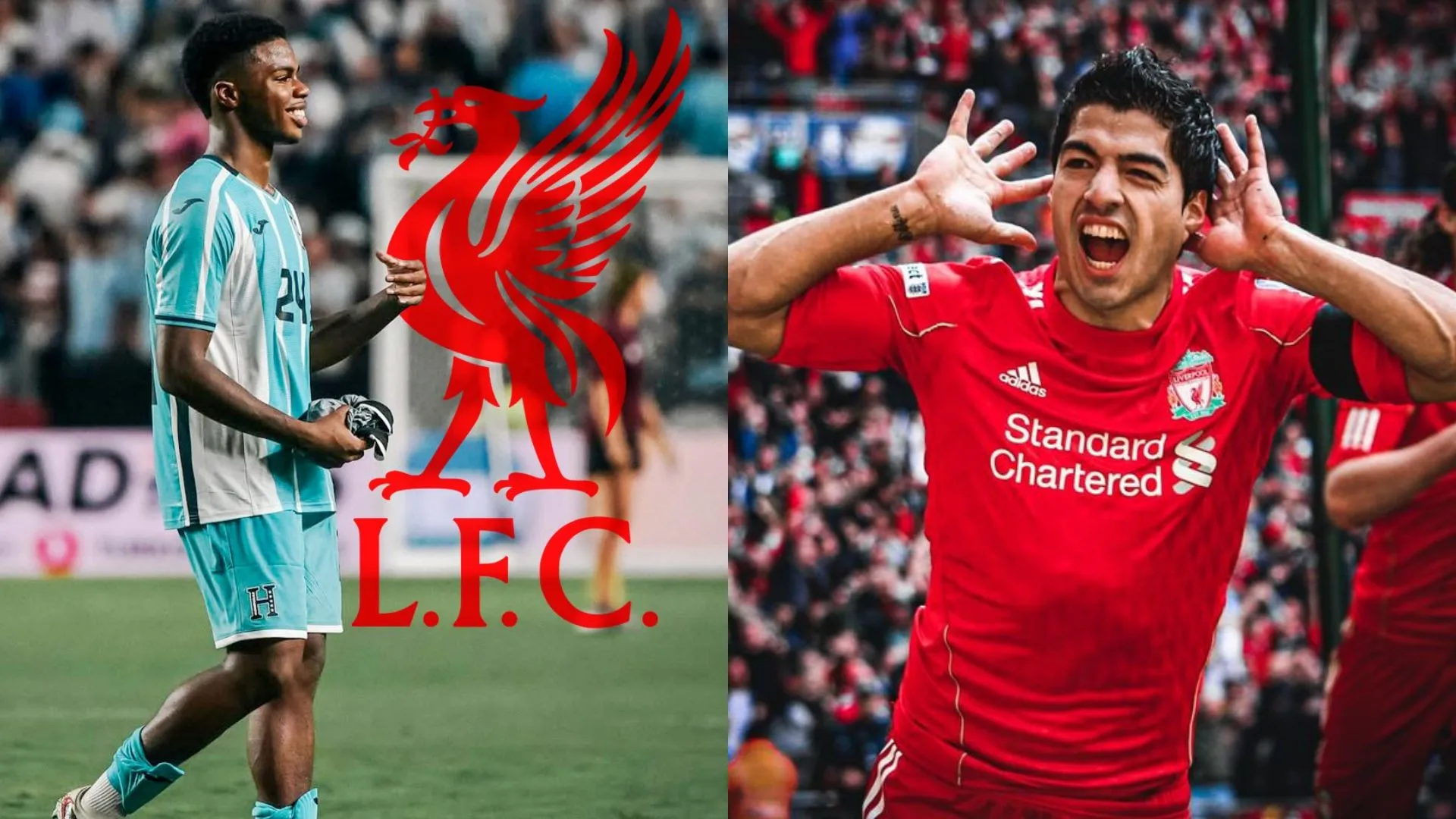 "El próximo Luis Suárez": en Liverpool dicen lo que nadie esperaba de Keyrol Figueroa