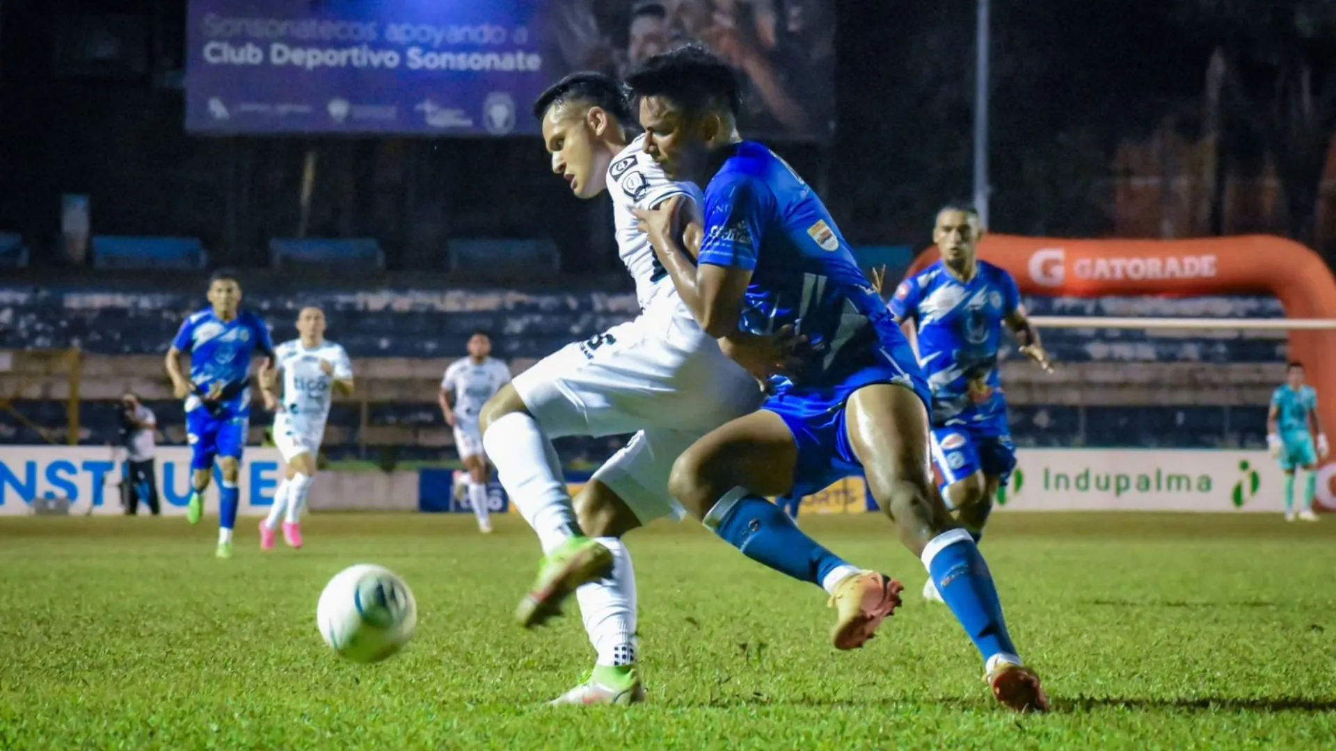 Alianza vs Fuerte San Francisco: hora y dónde ver hoy EN VIVO el partido | Liga Mayor de El Salvador