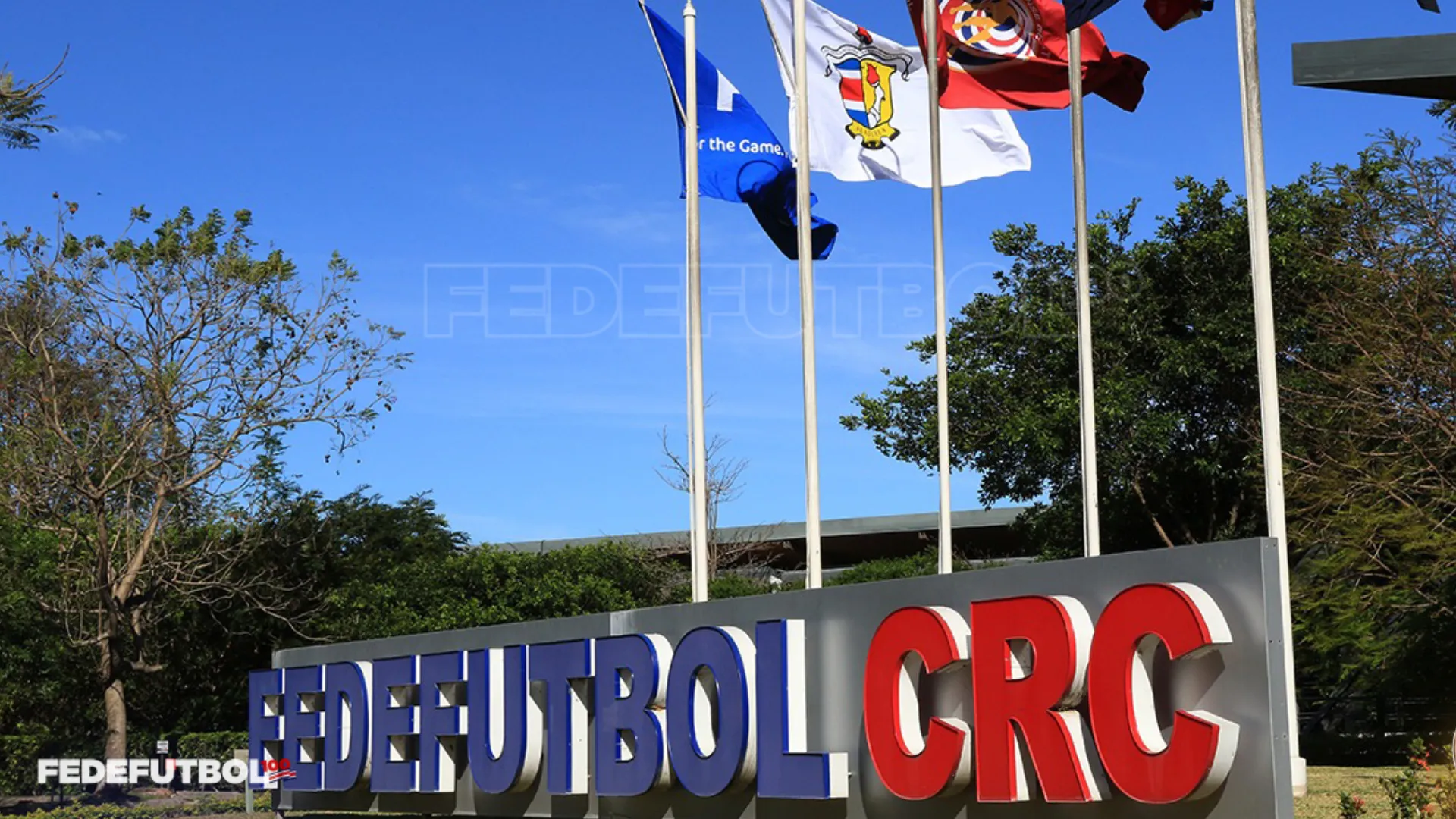Último momento: Fedefútbol define al sucesor de Gustavo Alfaro en Costa Rica