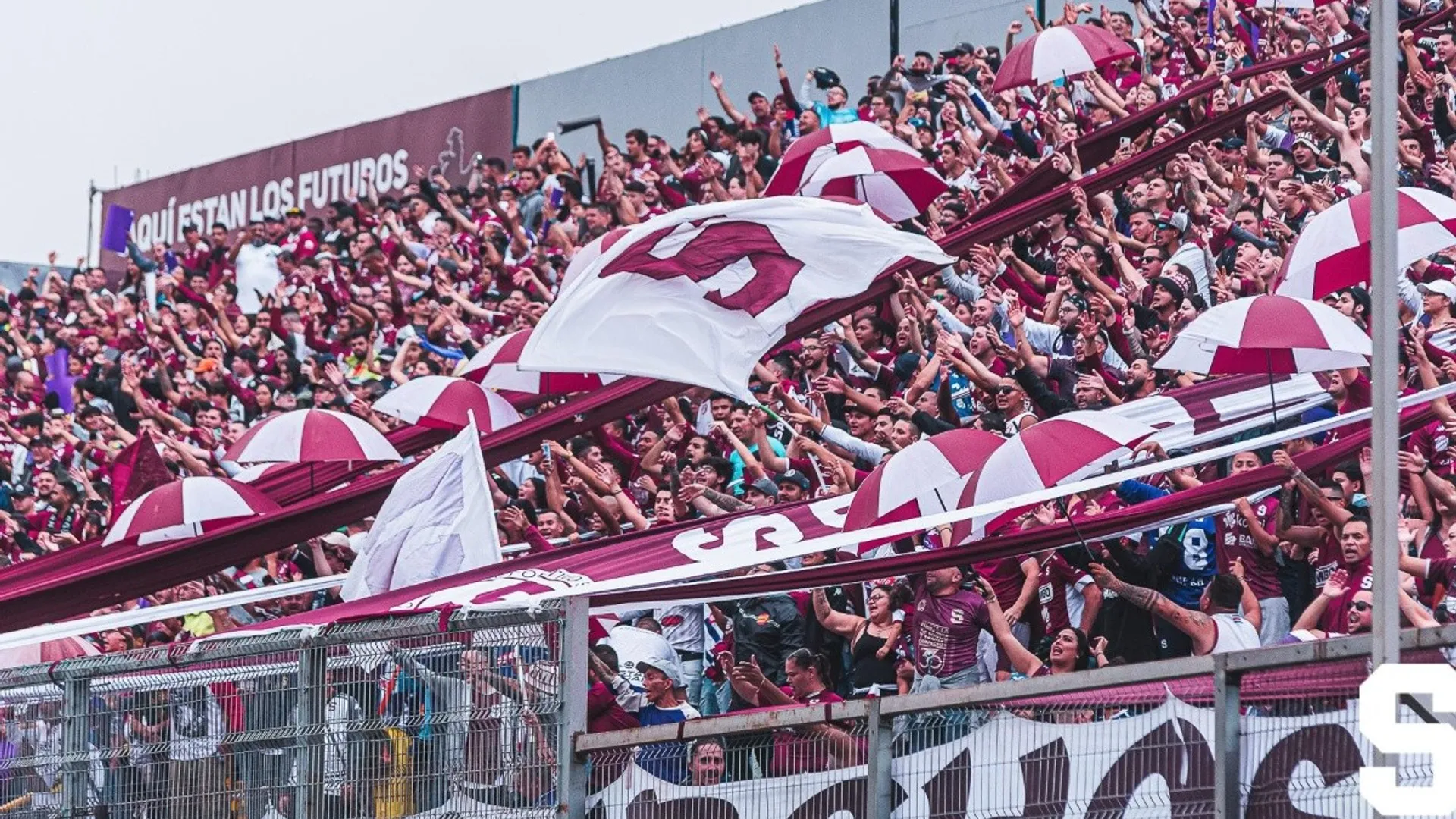 ¿Cuántos socios tiene Saprissa en Costa Rica?