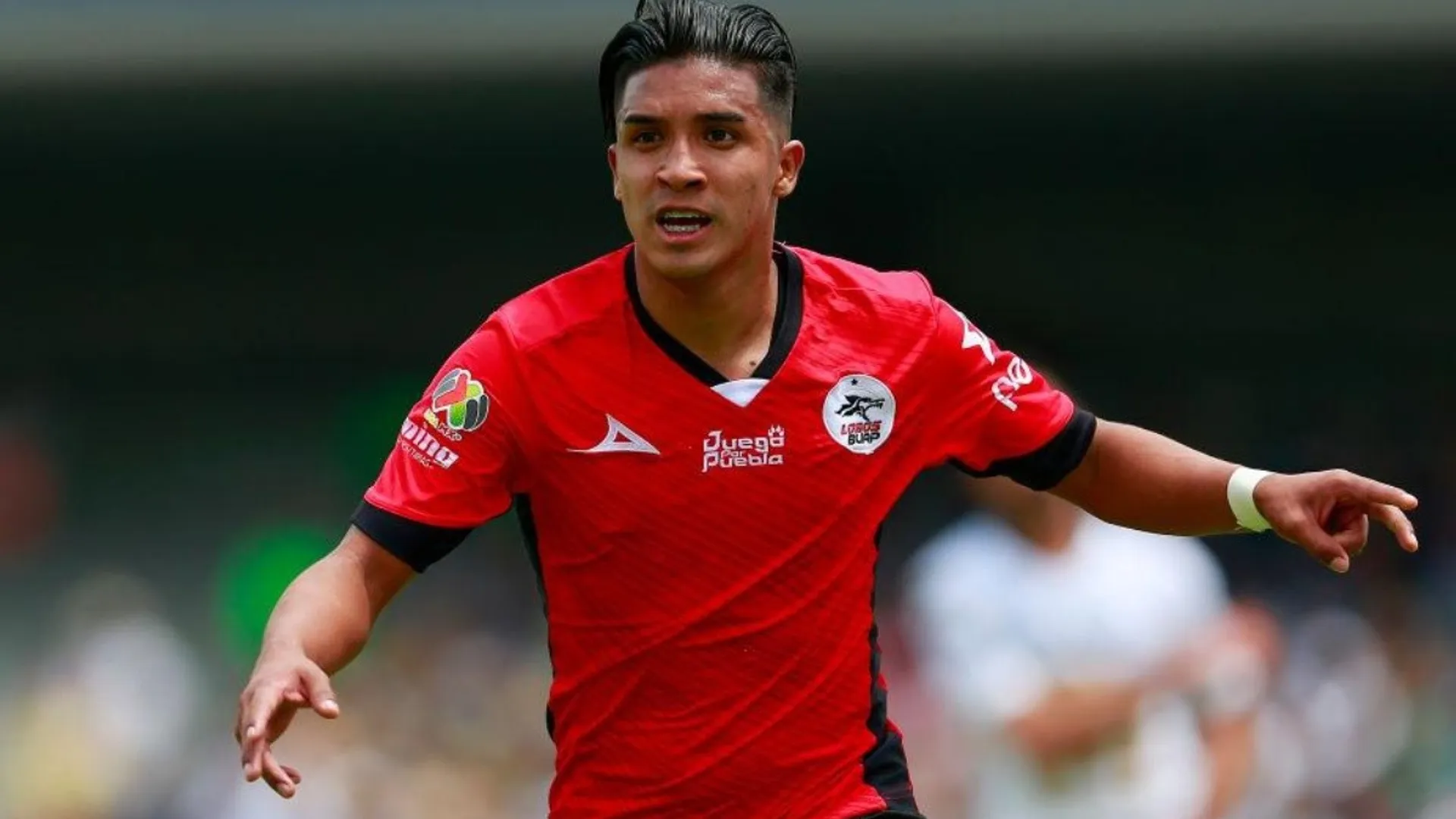 Ya habría ganador entre las 'fieras' que querían a Michaell Chirinos