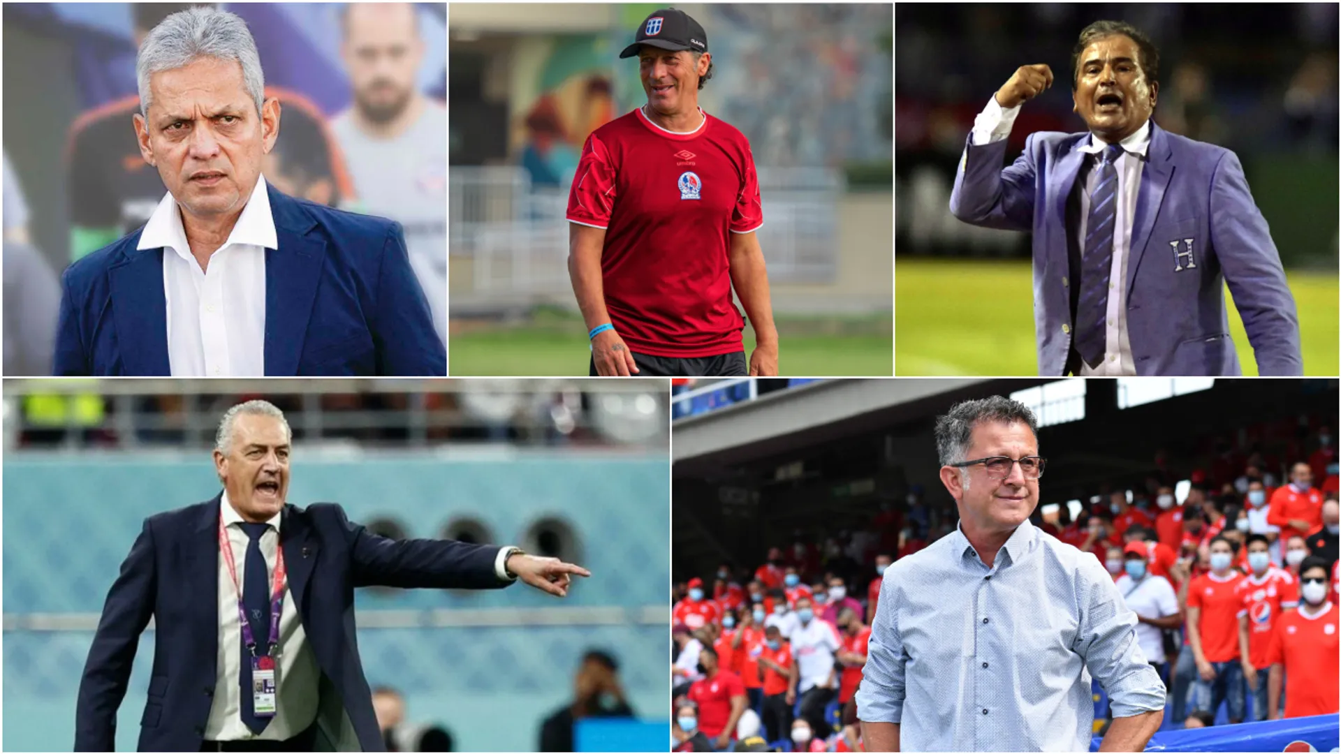 La Fenafuth ya tiene el perfil de su posible nuevo entrenador