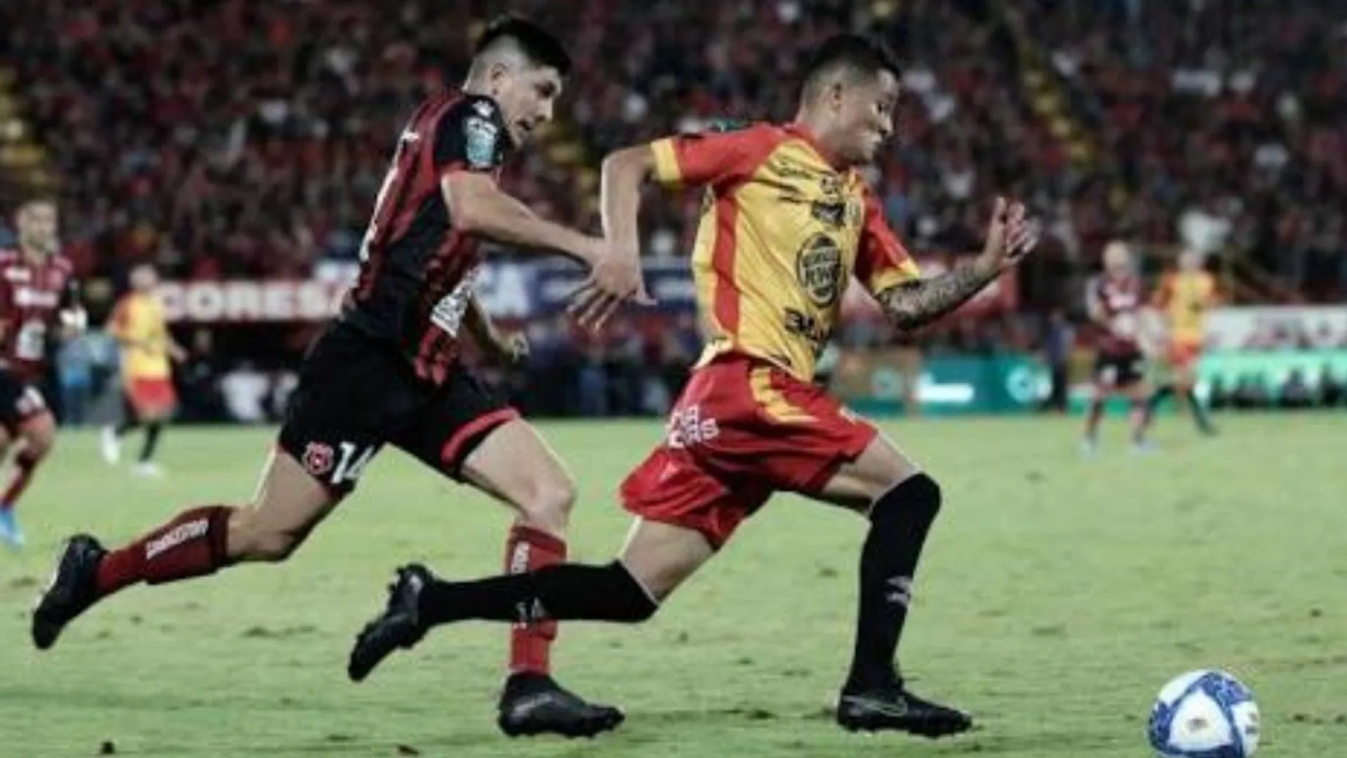 Rindieron bien en el Clausura 2020 de Costa Rica y ahora no tienen club