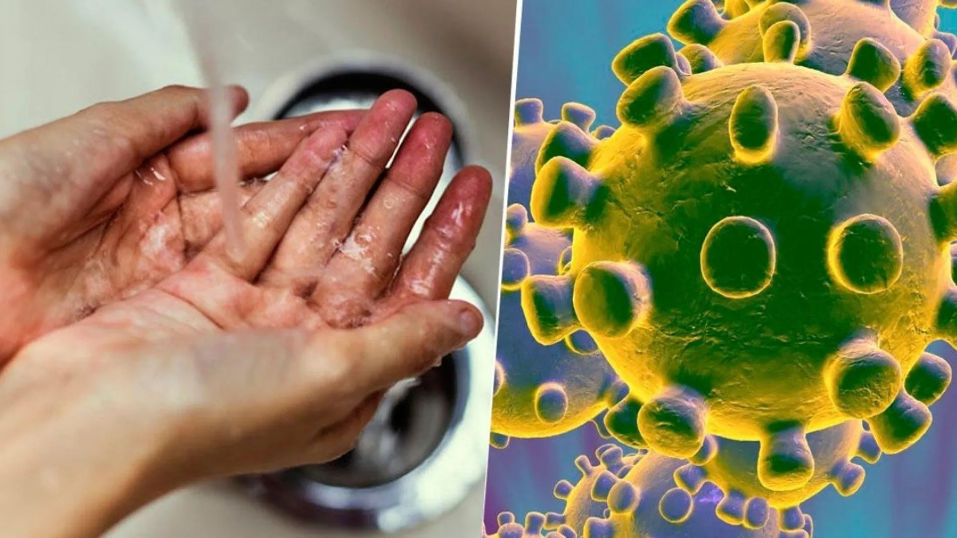 Las recomendaciones de clubes y federaciones para combatir el coronavirus