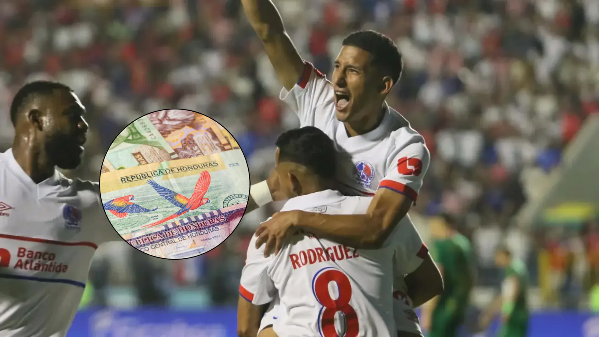 El dinero que se lleva Olimpia por haber sido campeón del Apertura 2025 de Honduras