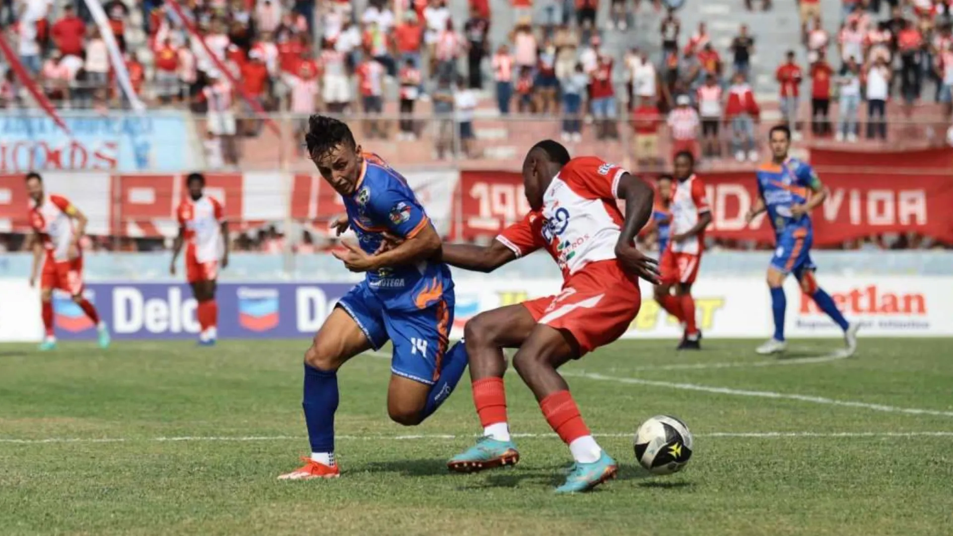 Lobos UPNFM vs. Vida, hoy EN VIVO: hora y TV del partido por el no descenso | Liga Nacional de Honduras
