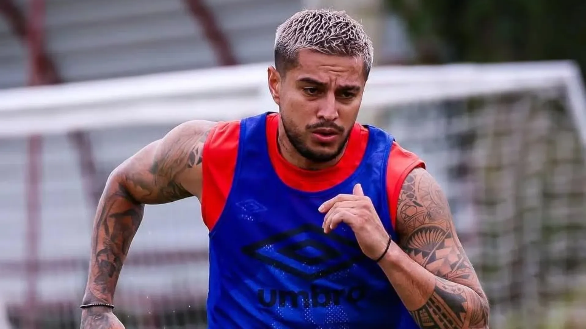 La respuesta por parte de Ronald Matarrita.