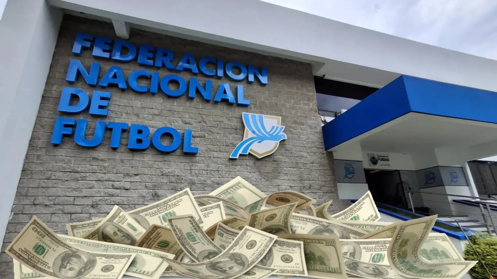 Ingreso millonario: El dinero que la Fedefut espera recibir en los próximos partidos de Guatemala de la Eliminatoria Mundialista