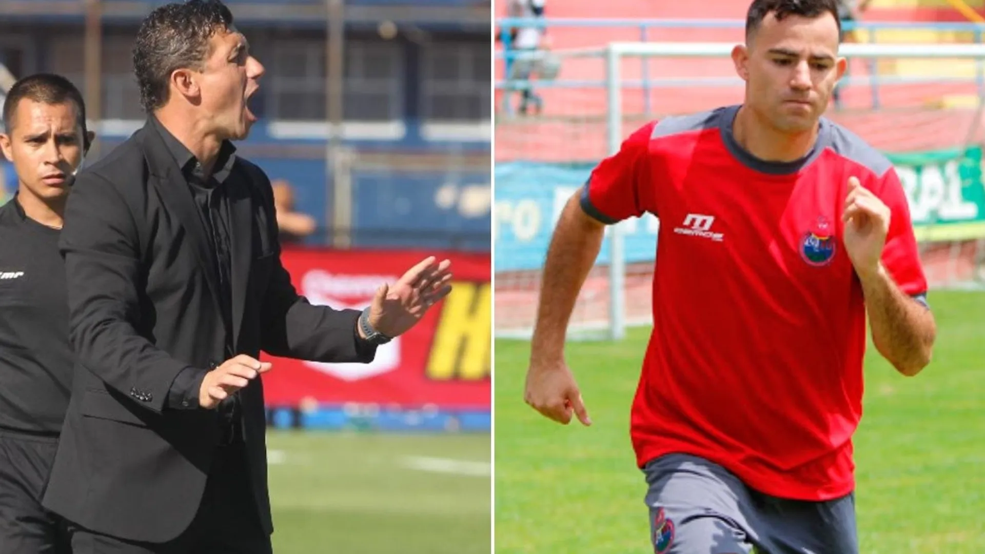 Bini habló de la salida de Marco Pappa y la posibilidad de traer un reemplazo