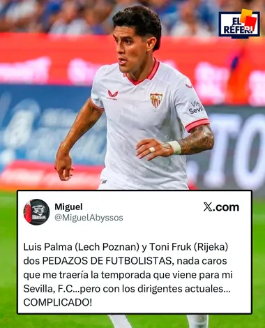 Desde Sevilla ven con buenos ojos el fichaje de Luis Palma