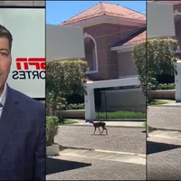 Fernando Palomo reflexiona ante venados salvajes en las calles de El Salvador