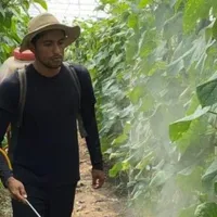 Futbolista del FAS se olvida del fútbol y se dedica a la agricultura durante la cuarentena