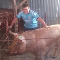Brilló en un Mundial con Costa Rica, se retiró a los 25 años por problemas económicos y hoy su vida gira en torno a los cerdos: “La gente me sigue reconociendo”