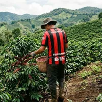 Ex Alajuelense se dedica al café.