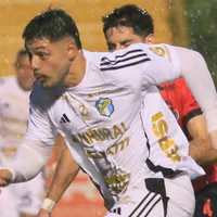 darwin lom-comunicaciones (1)
