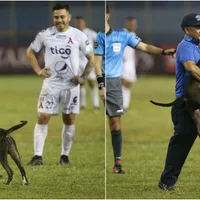 Concachampions 2023: La historia del perro que invadió el estadio Cuscatlán