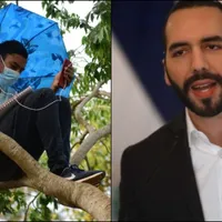 Nayib Bukele reacciona ante caso de joven que escalaba un arbol para estudiar