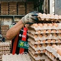 De ganar todo con Alajuelense a repartir huevos.