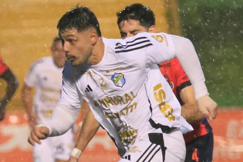 darwin lom-comunicaciones (1)