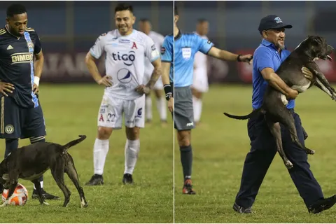 Concachampions 2023: La historia del perro que invadió el estadio Cuscatlán
