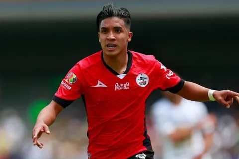 Ya habría ganador entre las 'fieras' que querían a Michaell Chirinos