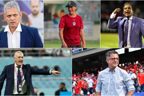 La Fenafuth ya tiene el perfil de su posible nuevo entrenador