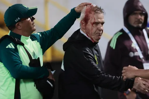 Se revela el castigo que tendrá el agresor de Javier Aguirre en el Honduras vs México