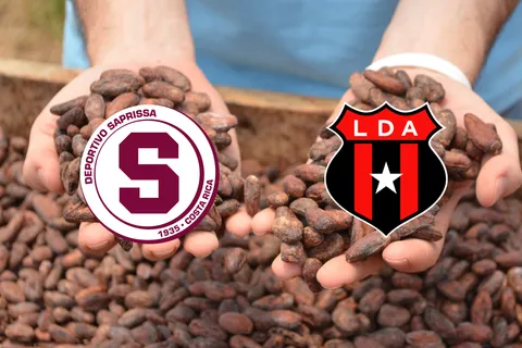 Campeonó en Saprissa y Alajuelense, dejó el fútbol cuando nadie lo esperaba y hoy dedica su vida a cultivar cacao