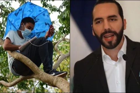 Nayib Bukele reacciona ante caso de joven que escalaba un arbol para estudiar