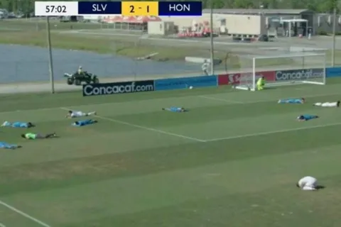 Ataque de abejas sembró pánico en el Concacaf Sub-17