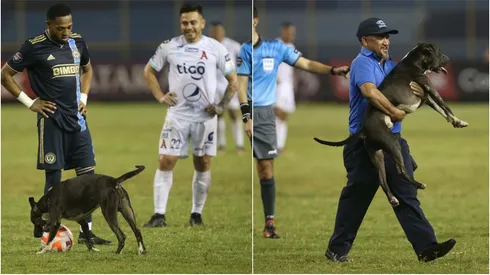 Concachampions 2023: La historia del perro que invadió el estadio Cuscatlán