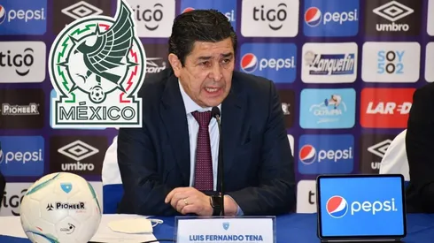 Desde México piden a Luis Fernando Tena para el Tri