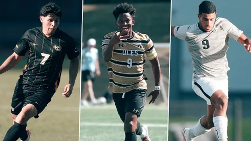 Los ticos que podrían ser elegidos para la MLS.