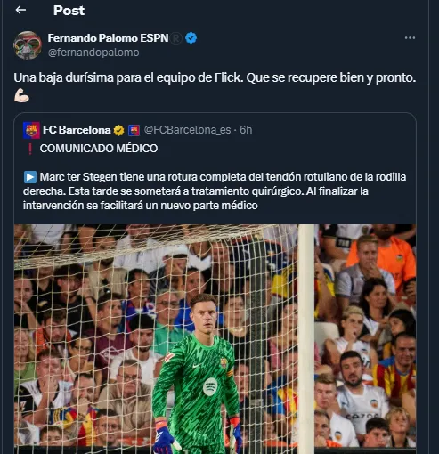 Fernando Palomo en su cuenta oficial de X