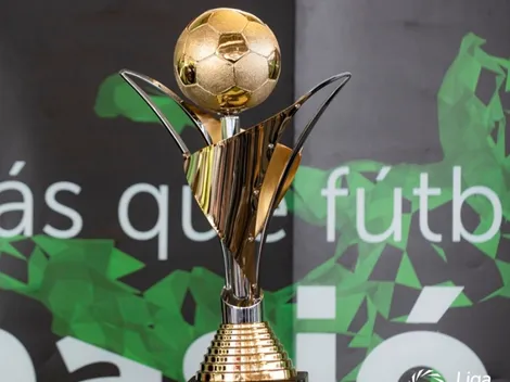 Solo restan 7 jornadas para que termine el torneo tico, aunque podría acabar en solo 5