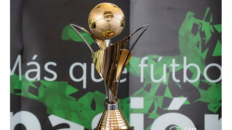 El torneo Apertura coronará a su nuevo campeón el 6 de noviembre como máximo (Unafut)