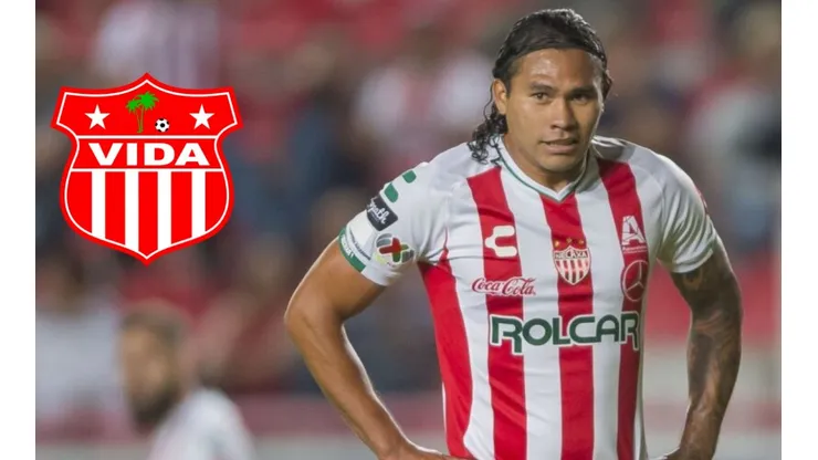 Gullit Peña llega a Vida para ser campeón en Honduras
