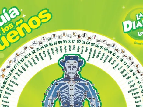 ◉ La Diaria de Honduras de HOY, domingo 21 de agosto: sorteo, resultados y qué salió a las 11 AM | 3 PM | 9 PM