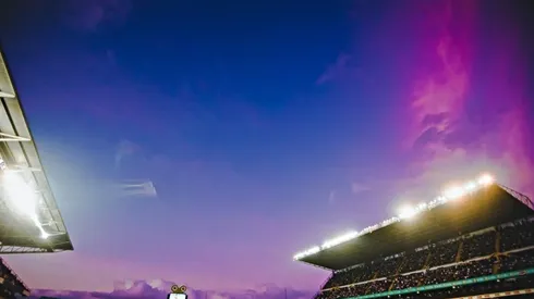 Ministerio de Deporte tomó postura sobre el regreso de la gente a los estadios