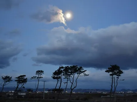 Alarma: emiten alerta de tsunami para Centroamérica