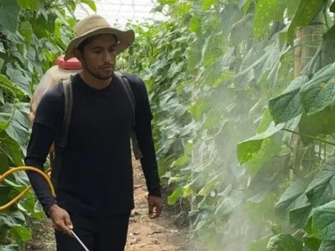 Futbolista del FAS se olvida del fútbol y se dedica a la agricultura