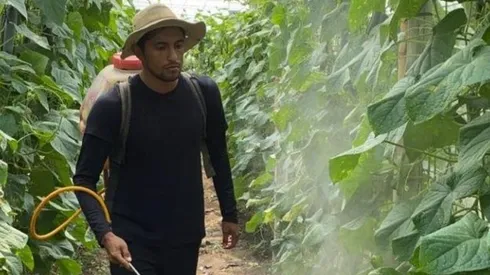 Futbolista del FAS se olvida del fútbol y se dedica a la agricultura