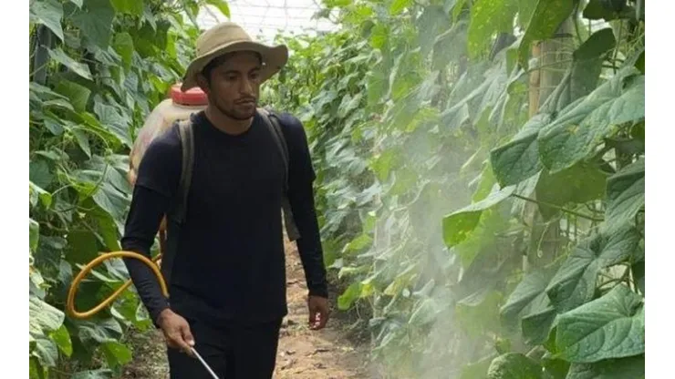 Futbolista del FAS se olvida del fútbol y se dedica a la agricultura